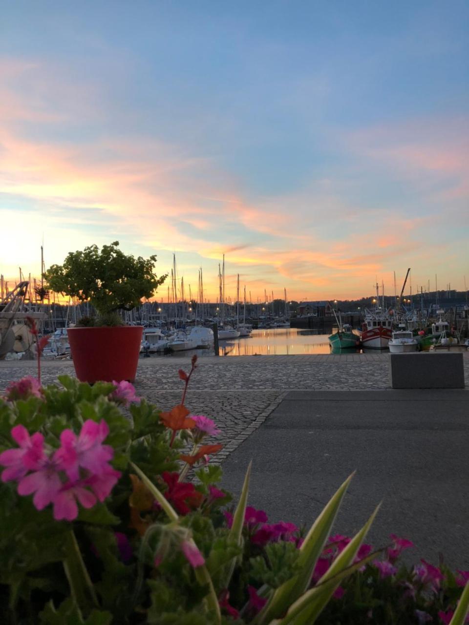 Hotel Restaurant Le Terre Neuvas Paimpol Exterior photo